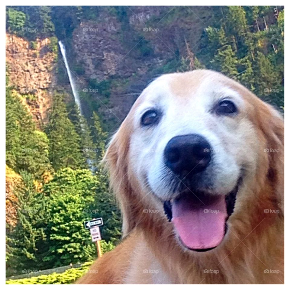 Keeper's selfie . Multnomah Falls, OR
