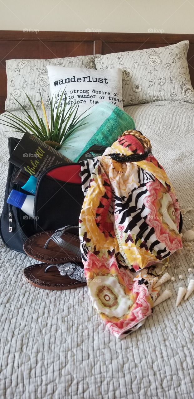 suitcase for Holiday