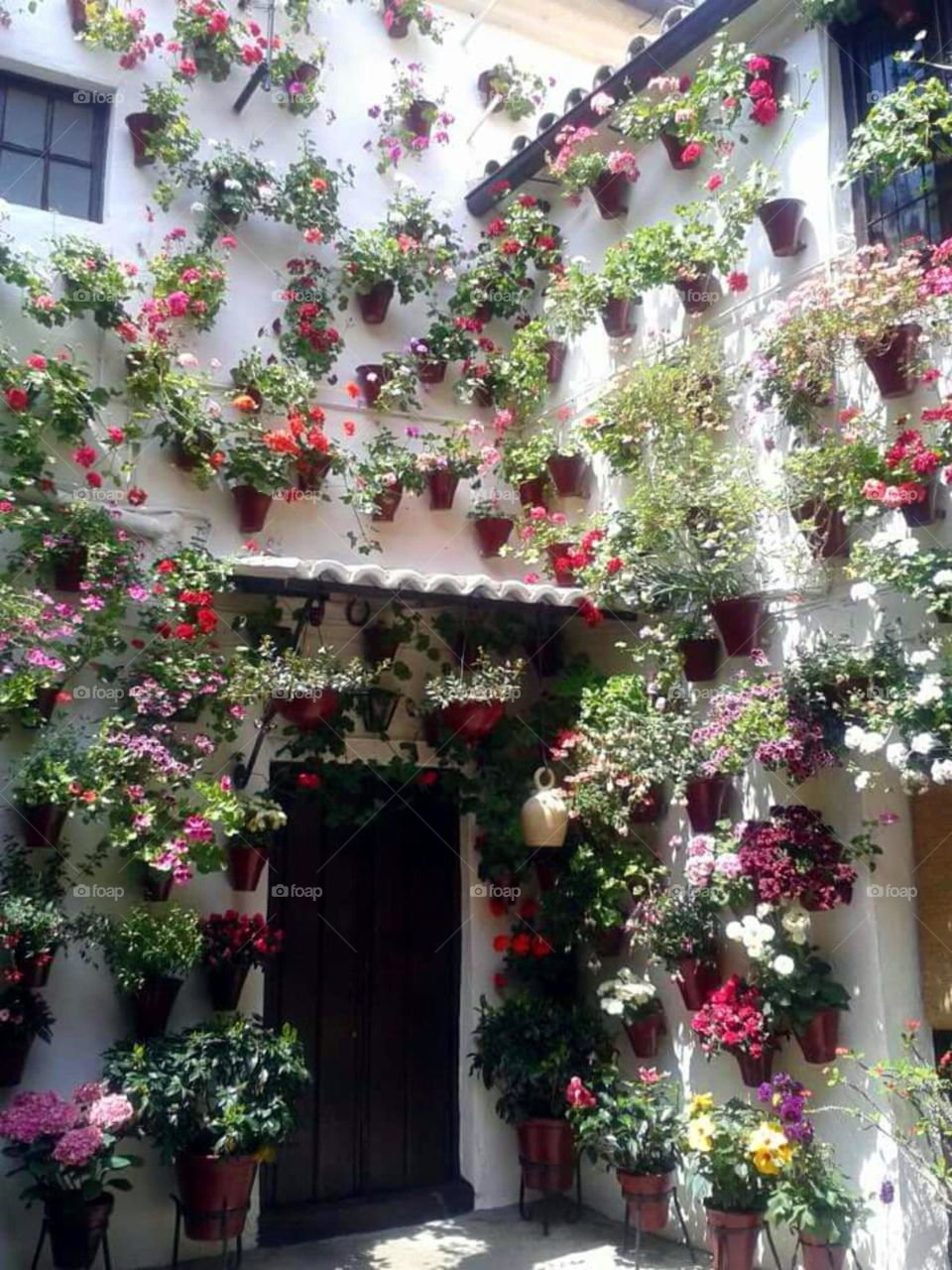 tachada de flores