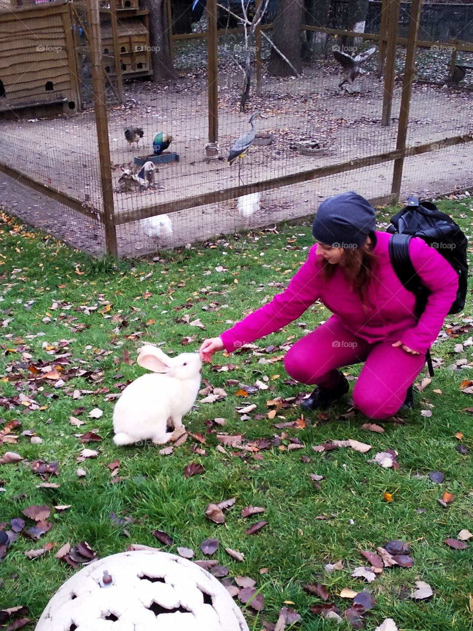 Осенью в парке на зелёной траве сидит девушка в розовом костюме с рюкзаком, которая нежно прикасается рукой к белому кролику на фоне клетки с птицами.