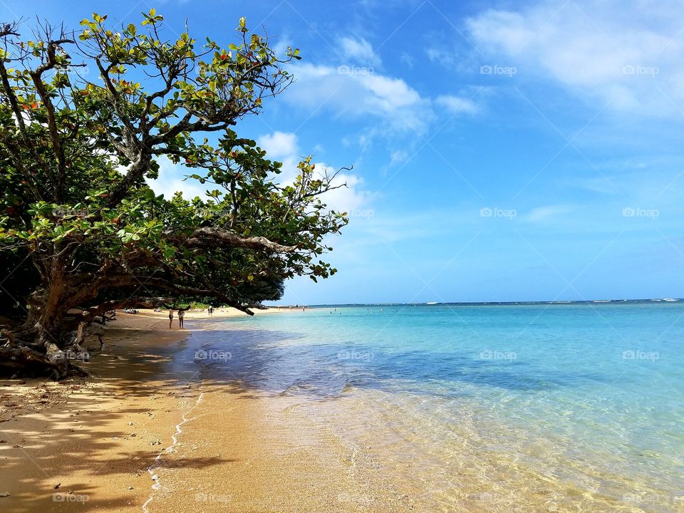 Tropical beach