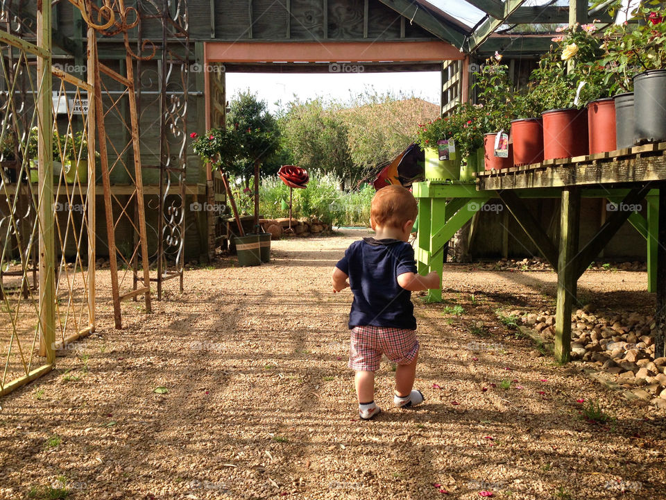 Walking around the garden store