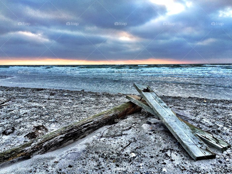 Drift Wood in December