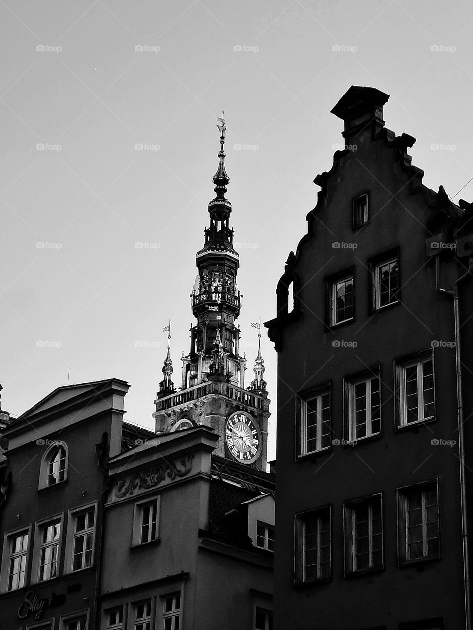 colorless architecture