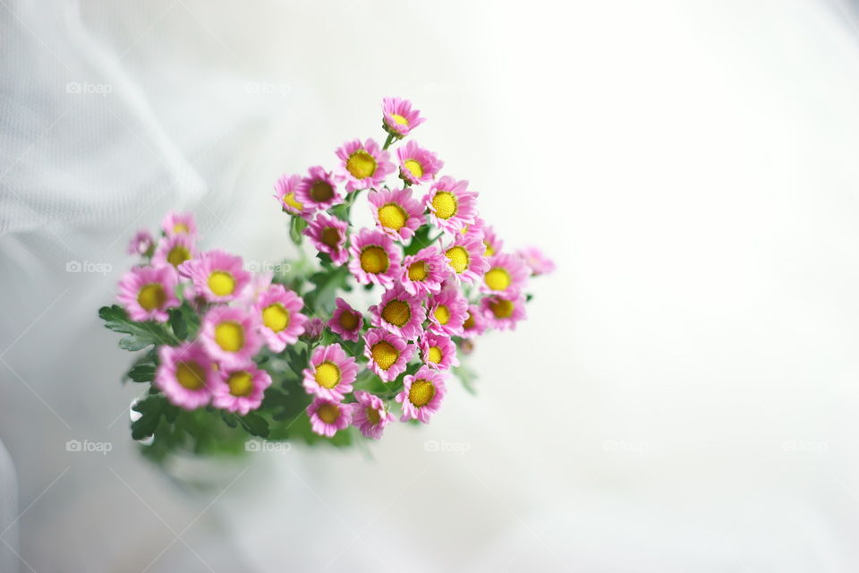 beatiful flowers