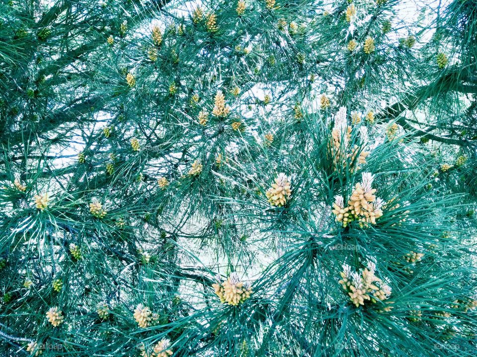 Editors' Choice - Photo of the Week