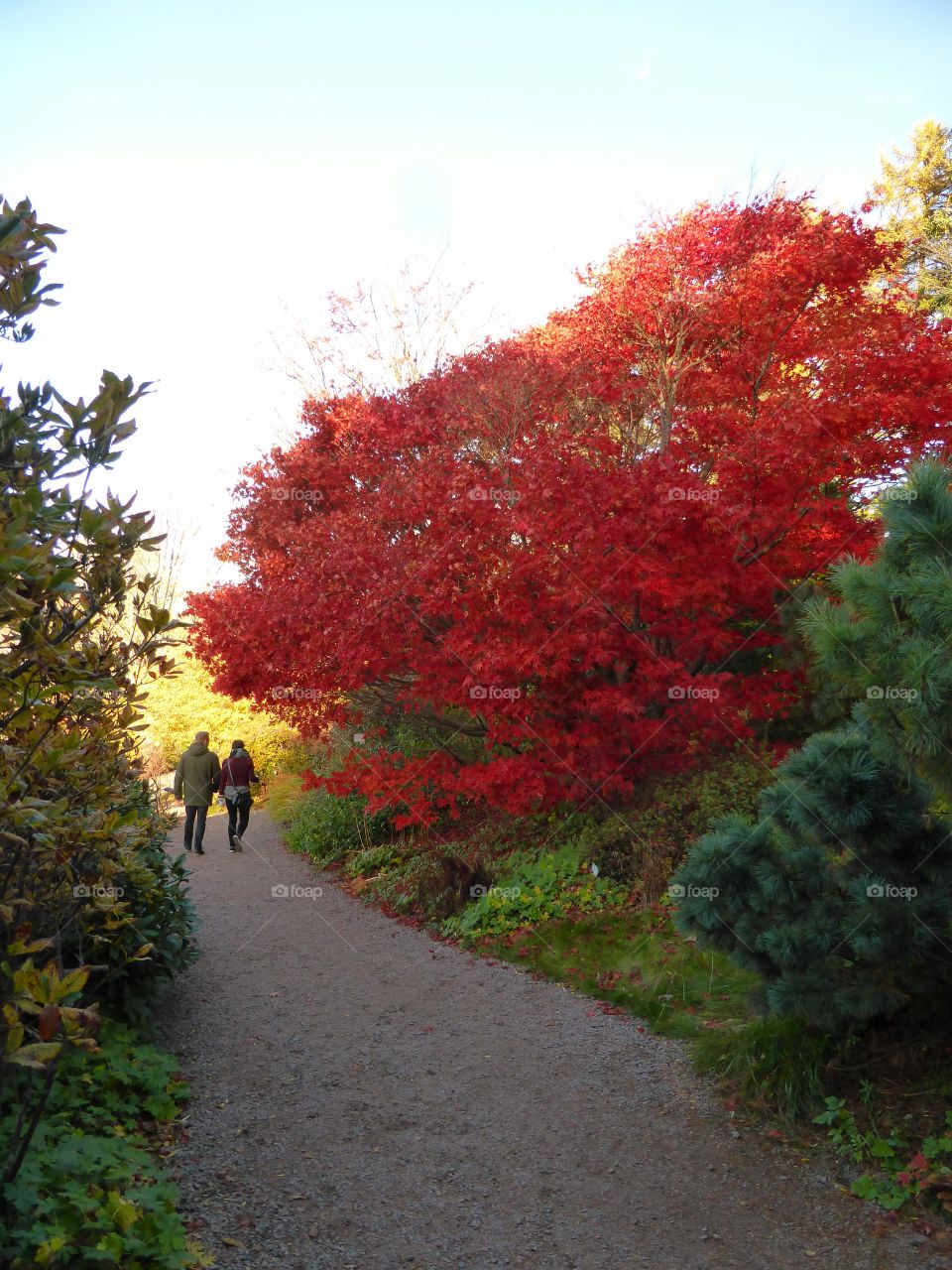 walking in the botanic garden in Gothenburg