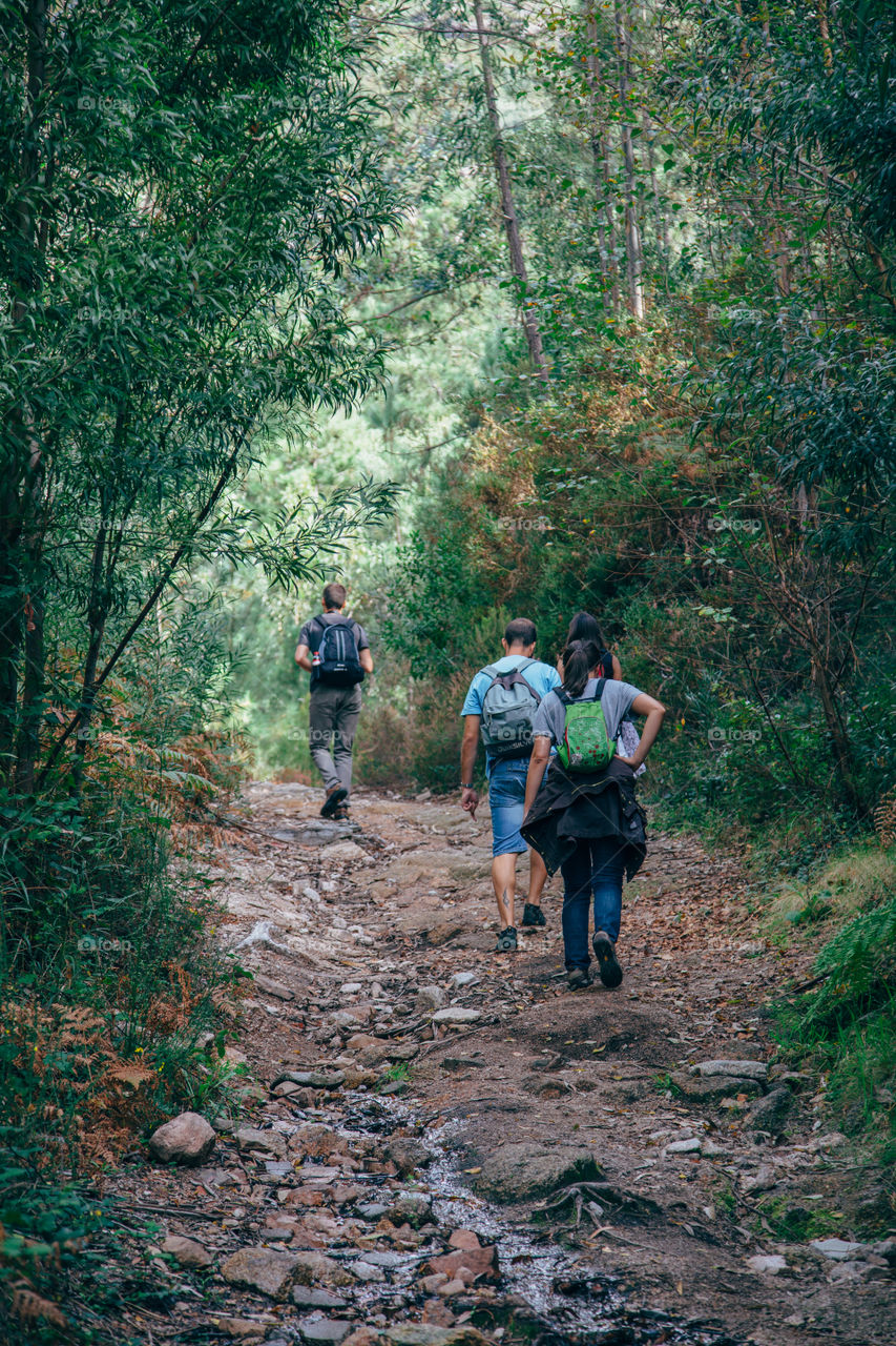 Hiking through the forest 