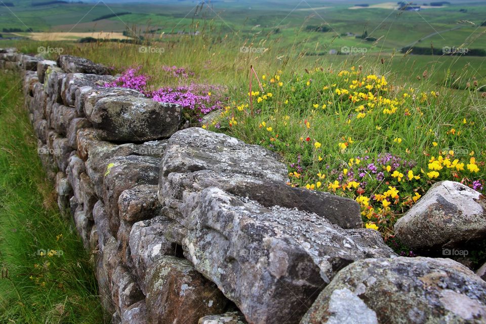 View of hadrians wall