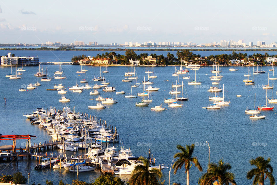 Small boats anchored in Miami small boat harbor