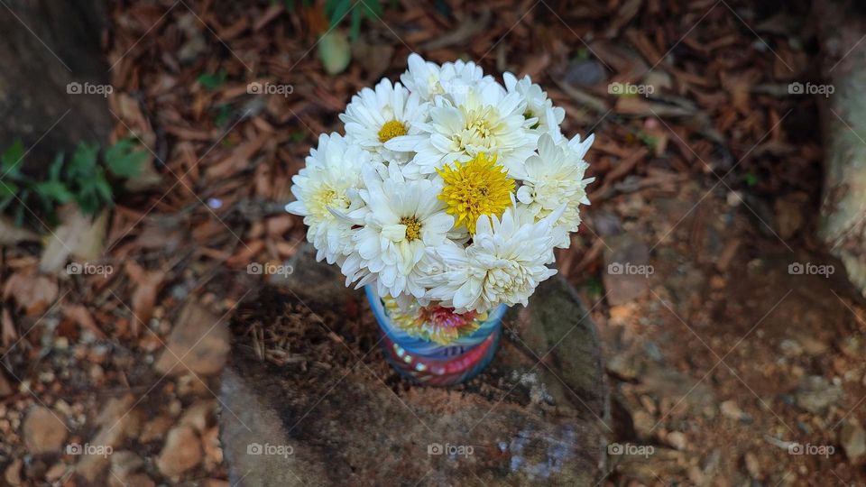 Beautiful white flowers in a colourful flowerpot with a flower sculpture, Flowers in a vase, colourful vase, white flowers in a vase