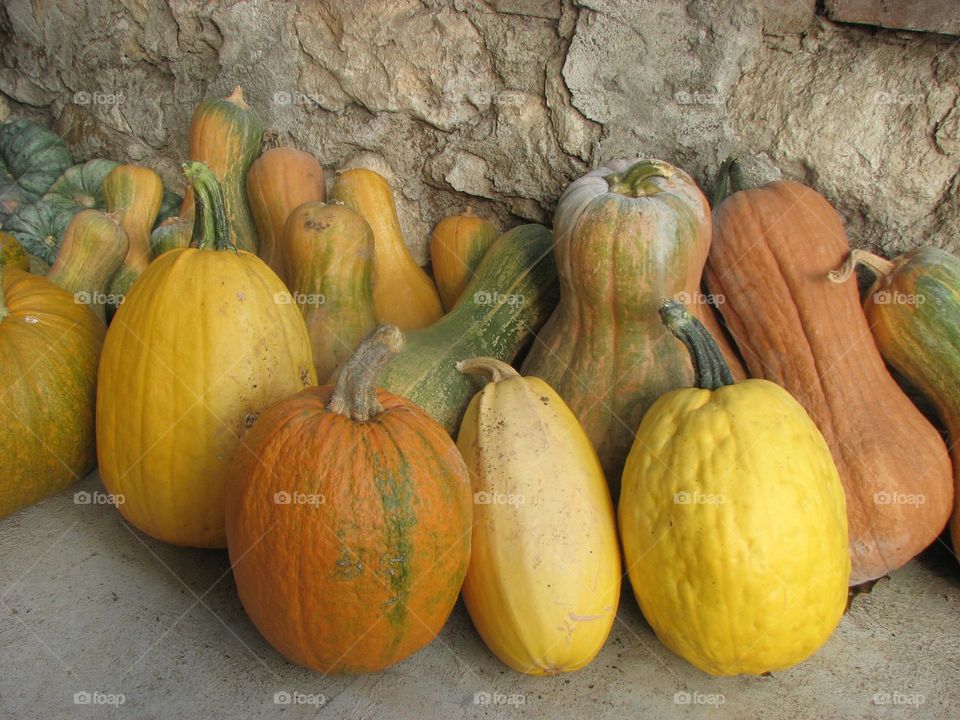 pumpkins