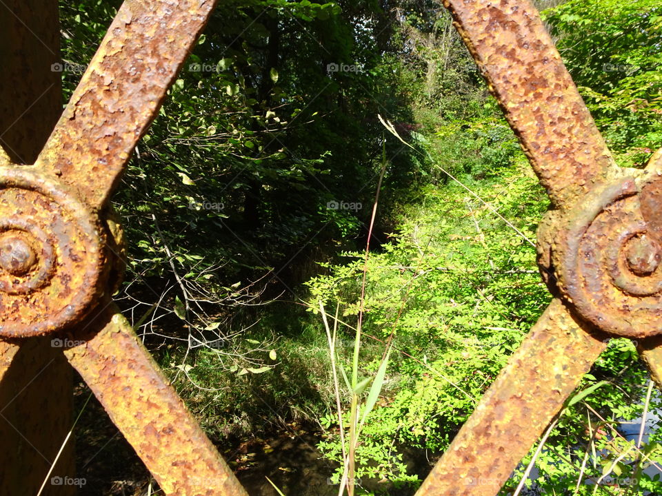 View from the rusted gate 