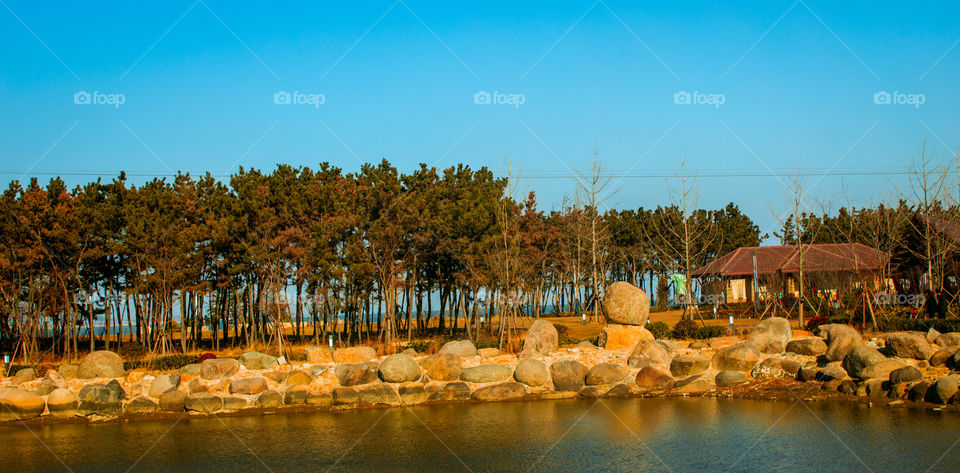 Sky tree and water