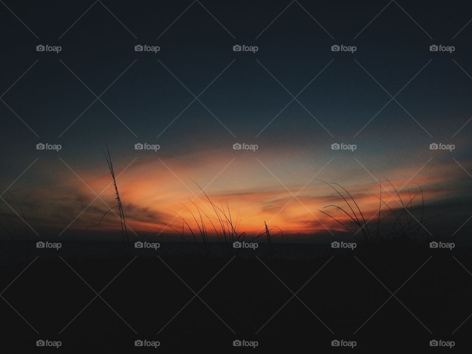 Artistic sunset with silhouette sea grass. Beautiful sunset over Gulf of Mexico with swirling clouds