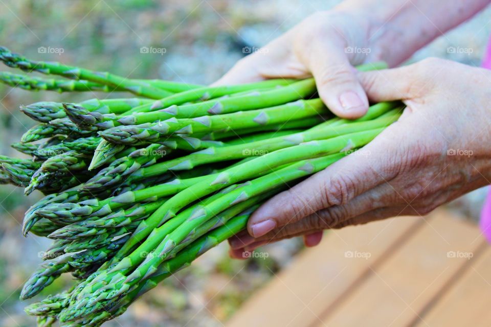 Close-up of green asparagus