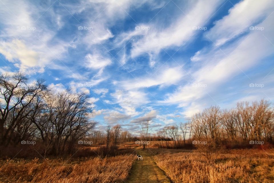 December hike in Oak Creek, WI