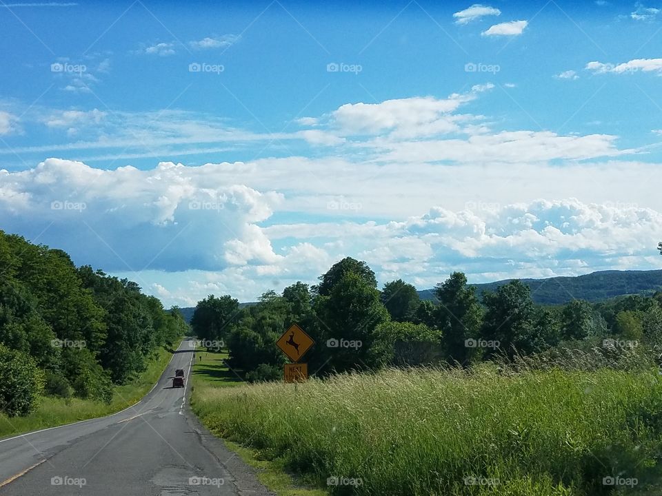 Landscape, Road, Tree, No Person, Sky