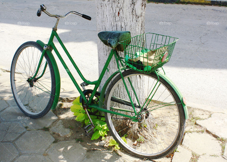 The green retro bike