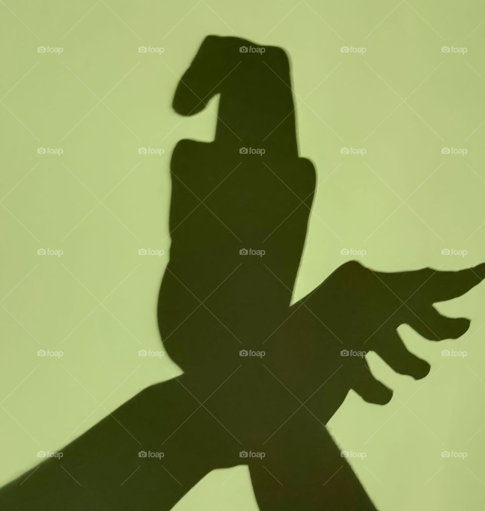 bird shadow made with hands