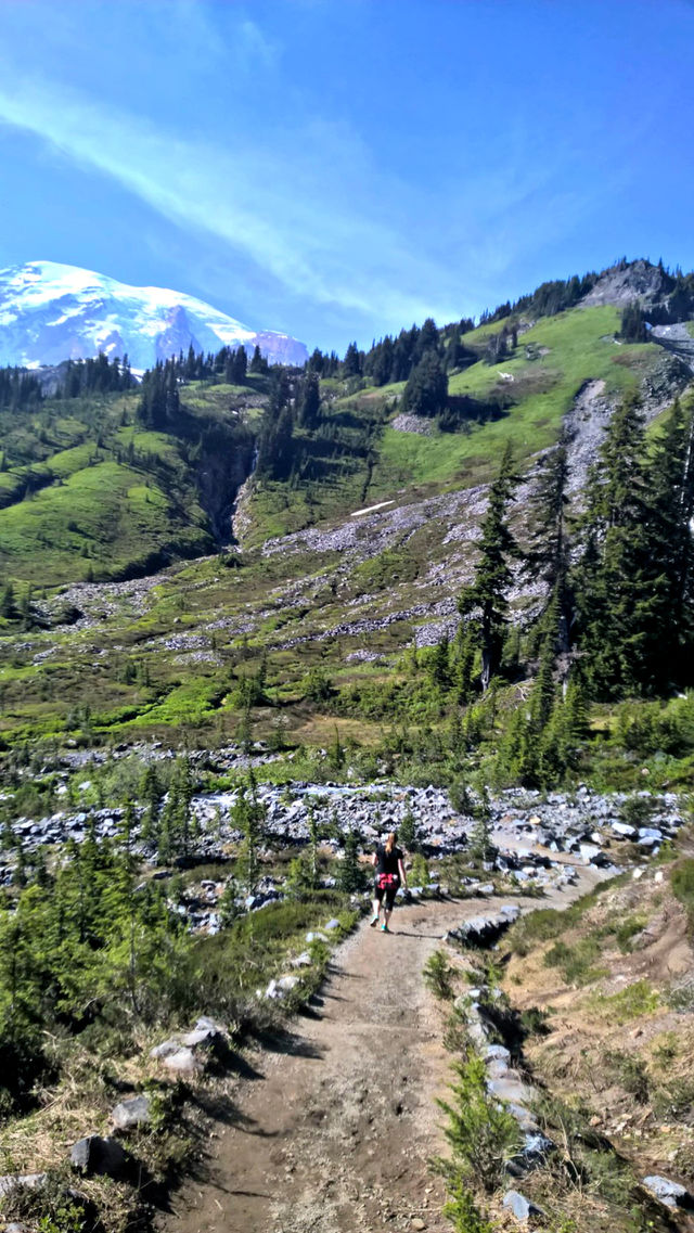Woman Hiking Skyway Trail at Mount Rainier. June 2015