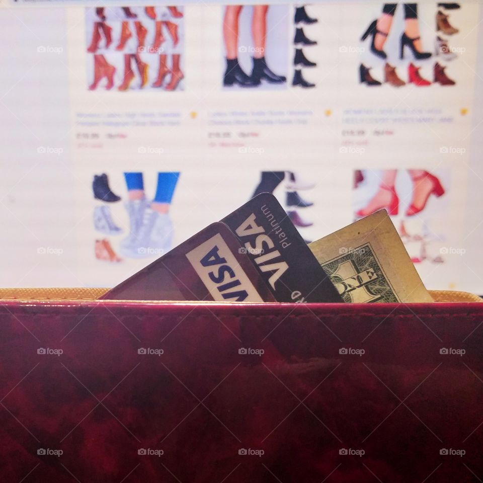 _Online Payment by Visa Card_