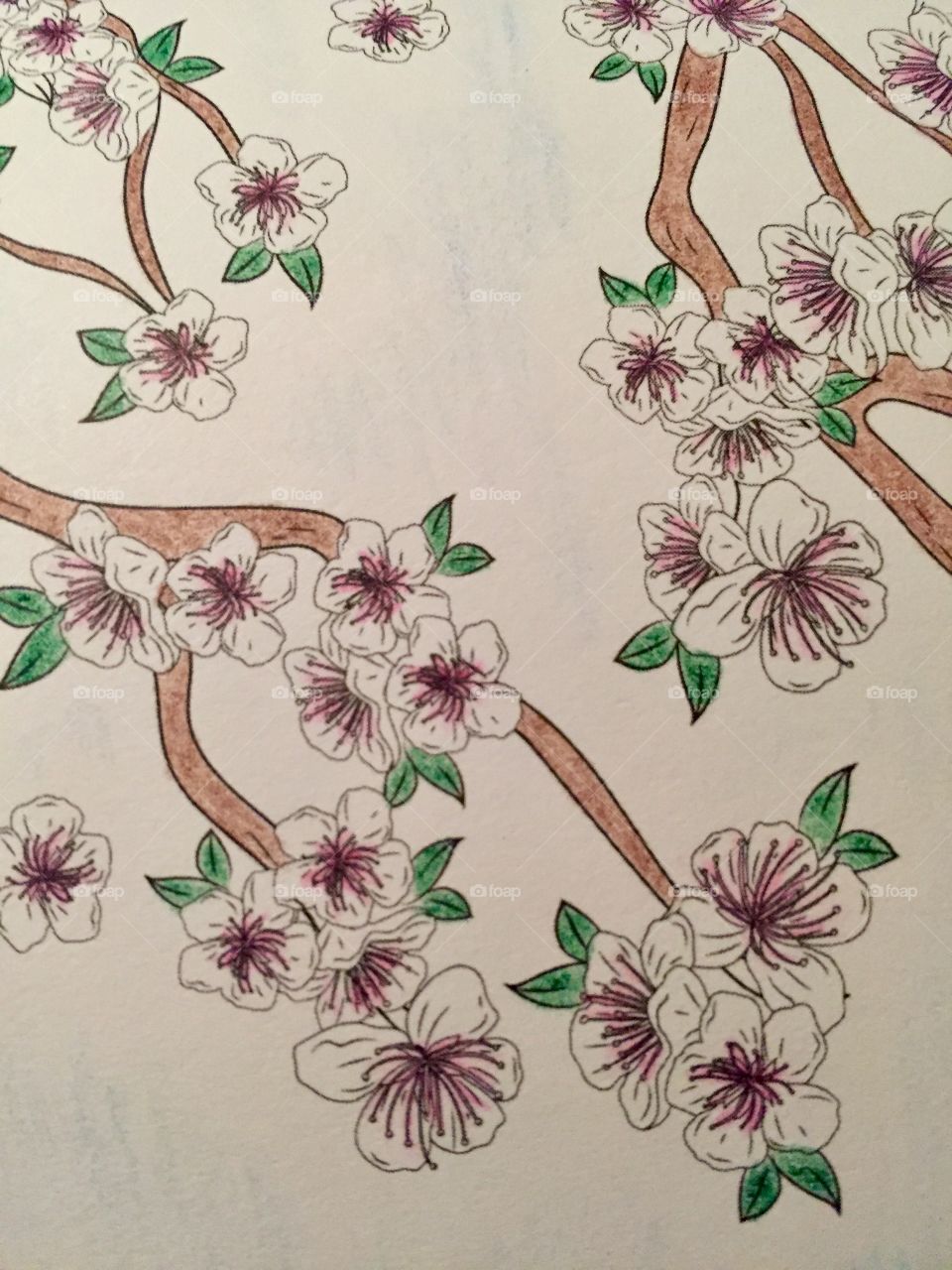 Animated tree. Adult coloring book. Pretty picture. Nice past time. Color variation.