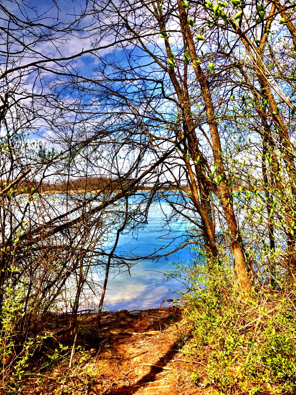 Beautiful spring day and view of summit lake in the state park in Indiana 