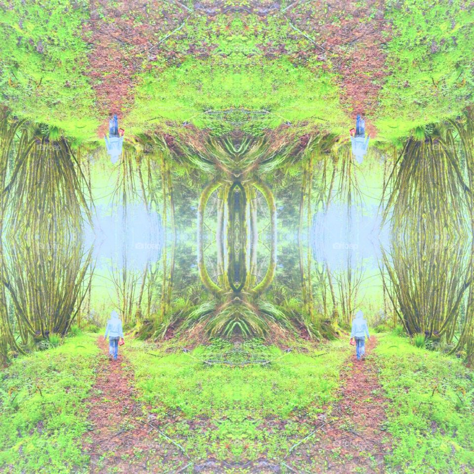 Down the Path Mirror