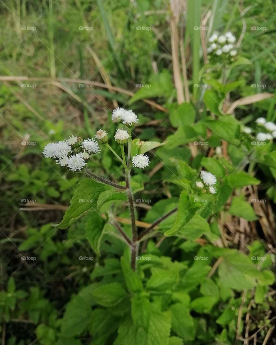 Focus on the simple things