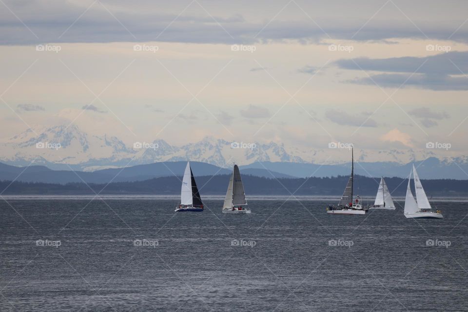 Sailing boats 