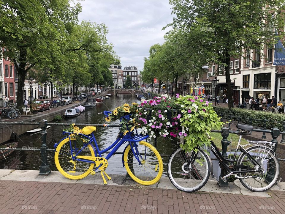 Yellow bike.