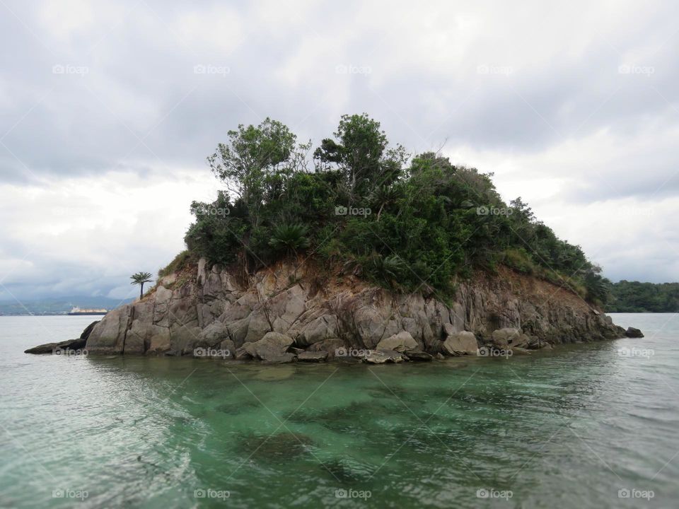 Small rocky island with lush trees.