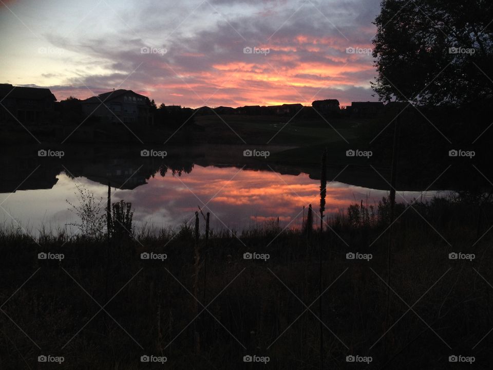 Reflection on the pond