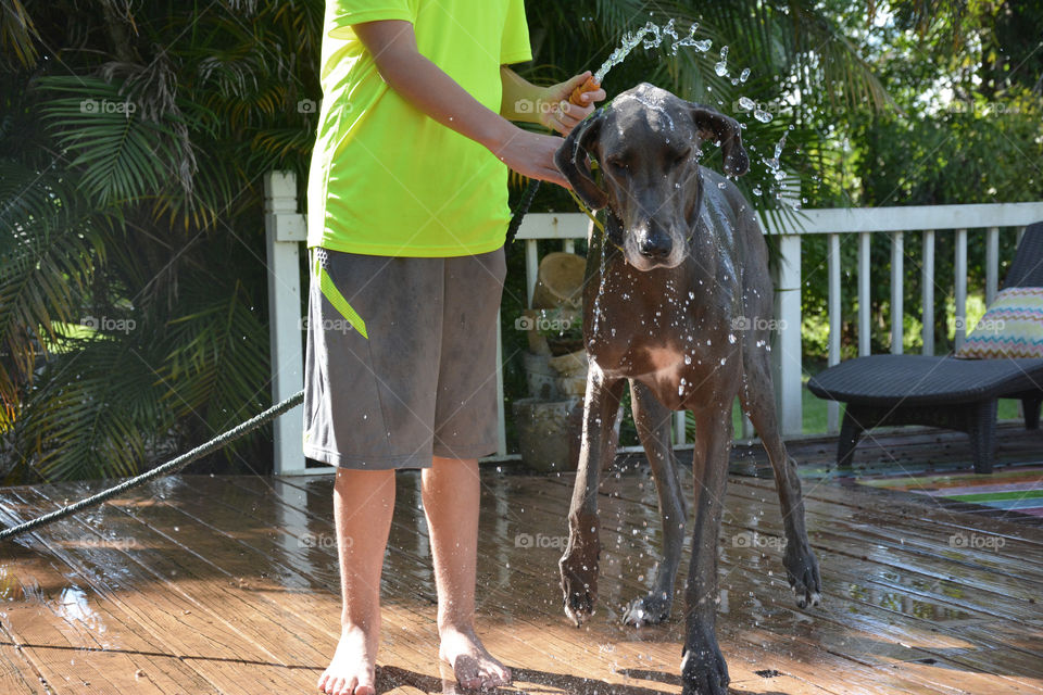 Dog wash!