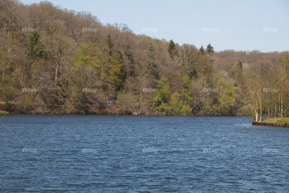 the river in the forest