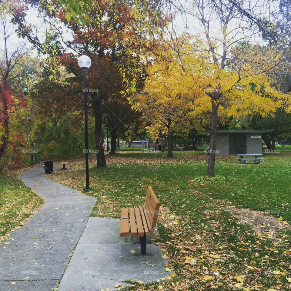 Loving fall at riverside park! 