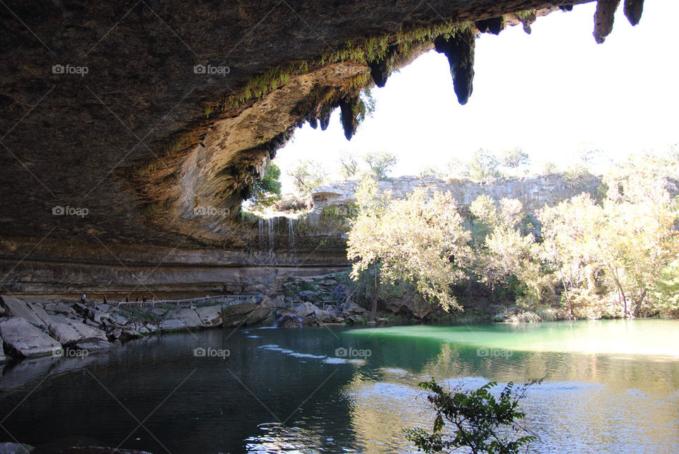 trees water pool cave by kiwi0685