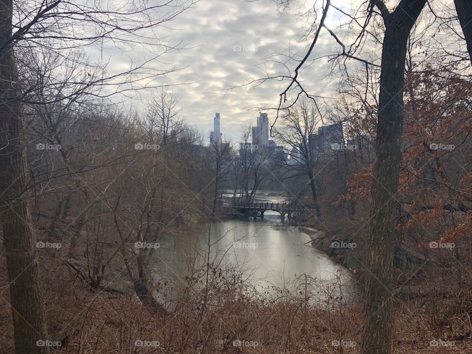 Hidden in a busy city , got this beautiful view of Central Park