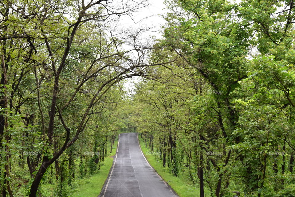 Beautiful Road from Raigad Maharashtra India