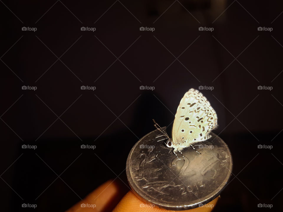 Money and nature both are very important for us.