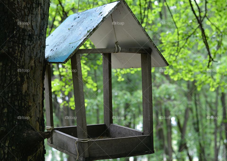 wooden birds house on a tree in the green park summer time