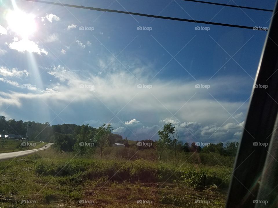 Landscape, Tree, Sky, No Person, Nature