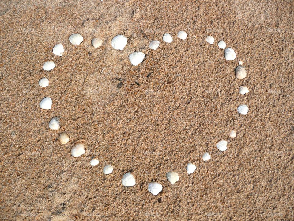 seashells heart