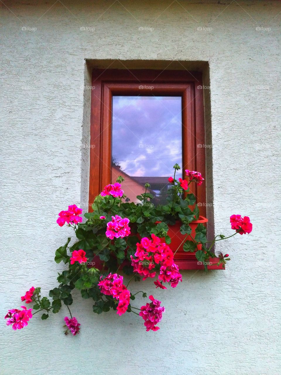 window