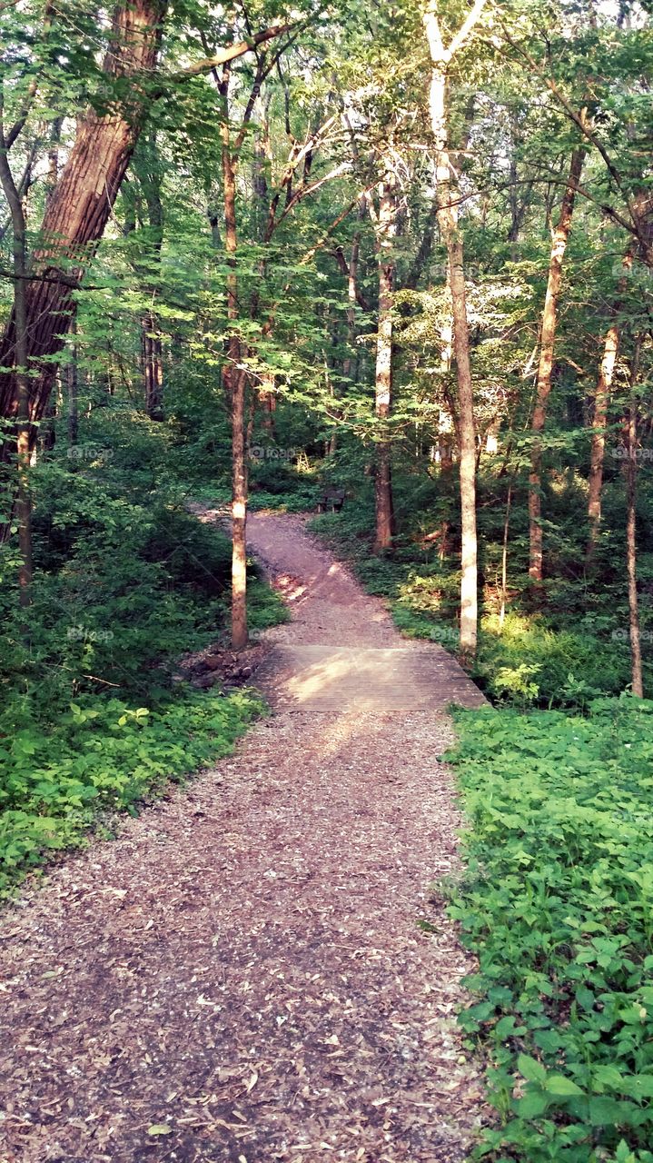paths . Devils Lake trails