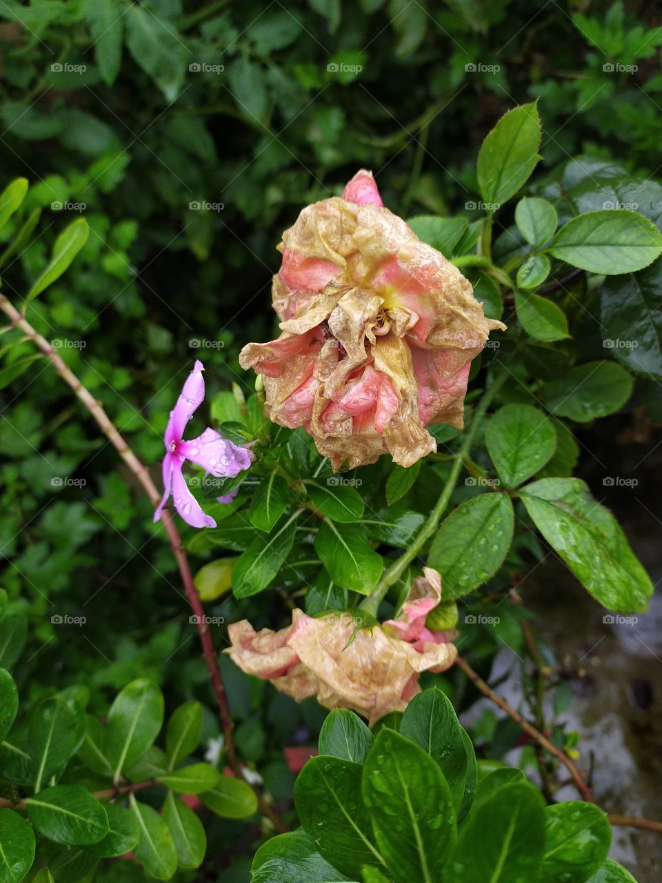 Hit by heavy overnight rain