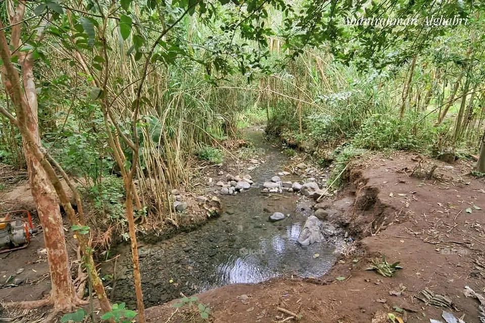 The image embodies a natural natural plate of the mountains of nature, where green agricultural stands are graded on the slopes as if they were lines of a poem, which fog harmoniously wrapped, and clouds hugged them in the mountain knife and the whis