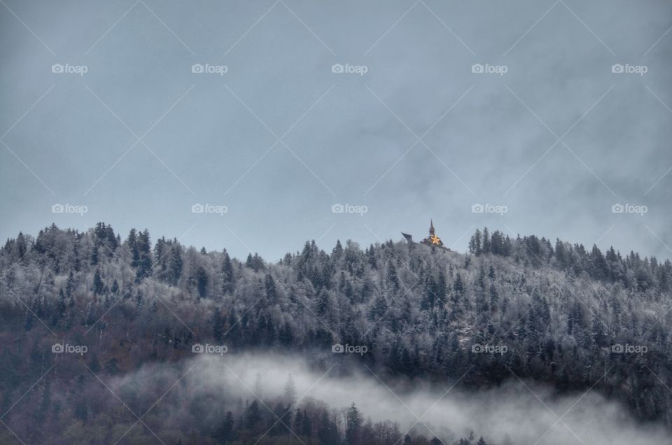 Snow, No Person, Winter, Tree, Wood