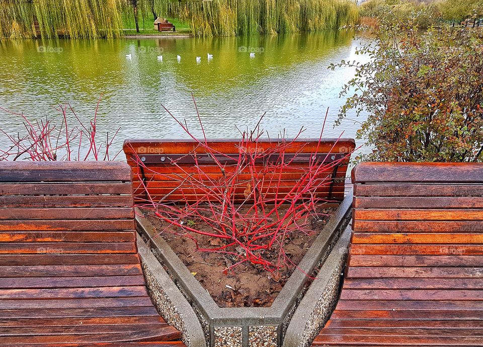 Late Autumn in Bucharest.